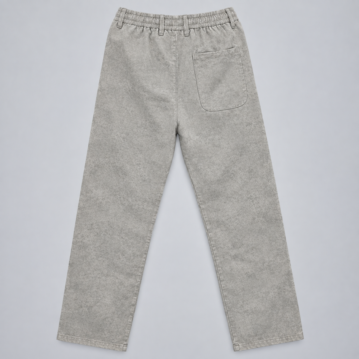 Relaxed Pleated Pants | Stone  Acid Wash
